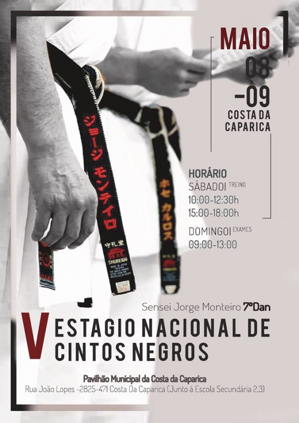 V Estágio Nacional de Cintos Negros