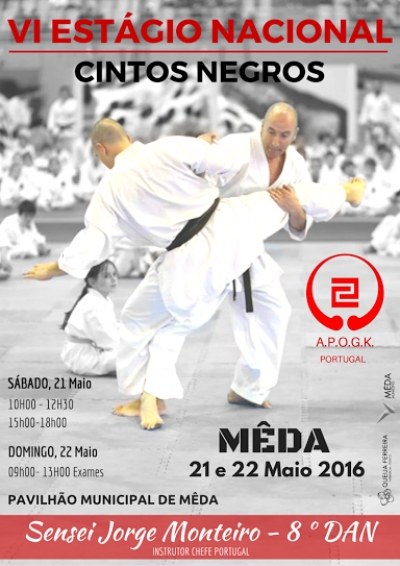 VI Est&aacute;gio de Cintos Negros - M&ecirc;da 2016